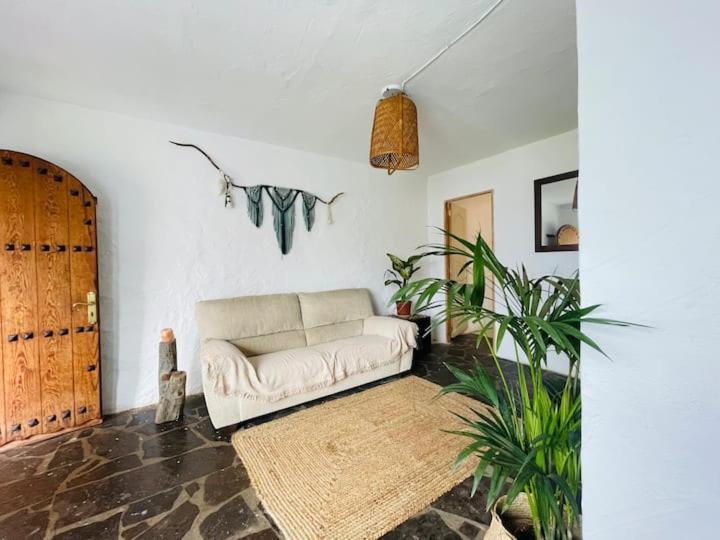 Finca Oaxaca - Casa Tortuga Agaete  Esterno foto